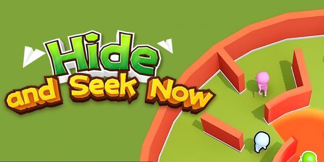 Hide Seek